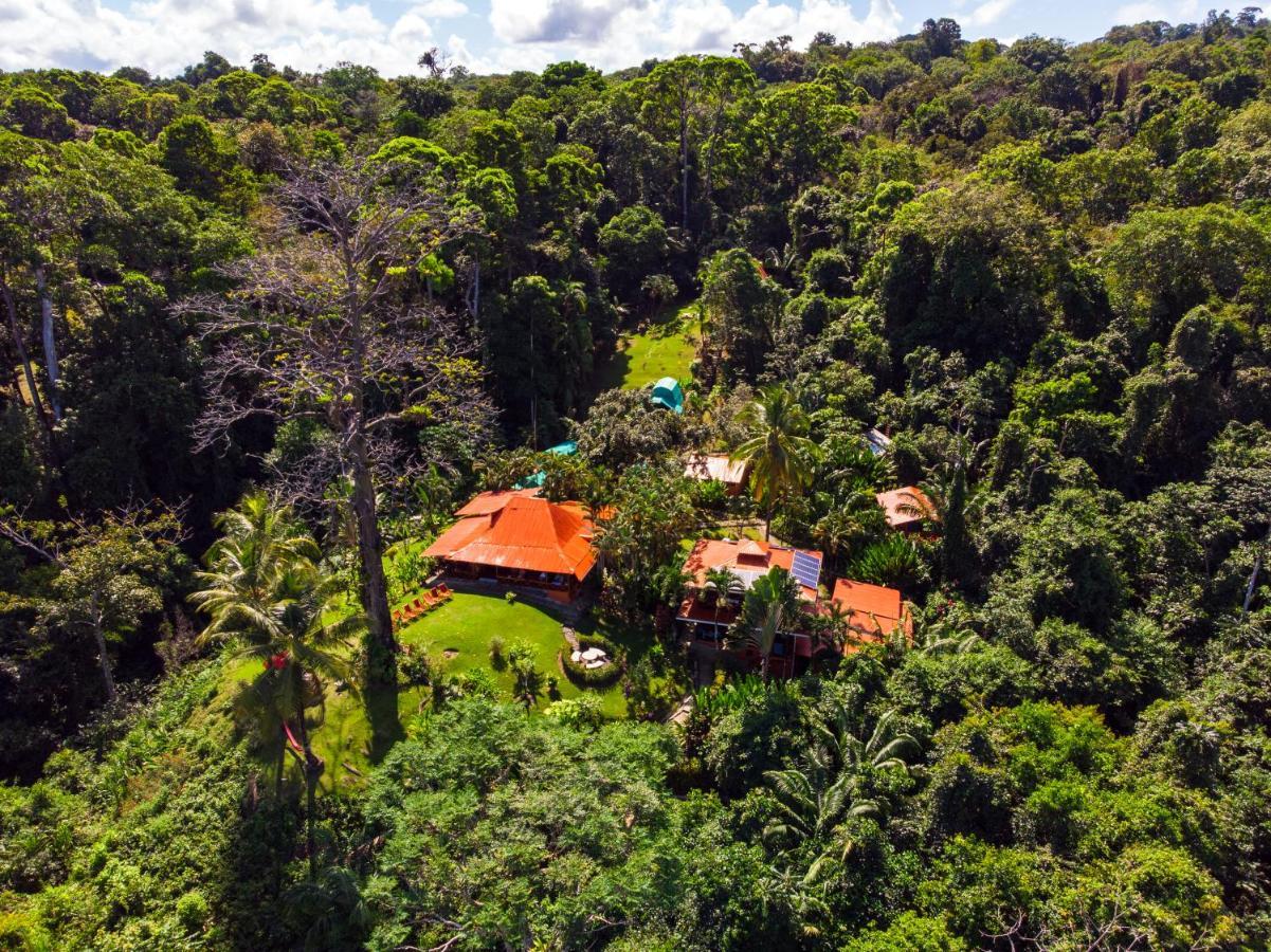 Las Caletas Lodge Drake Bay Exterior photo